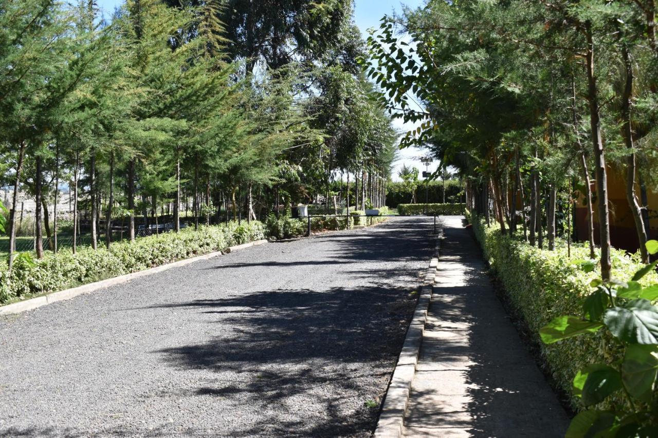 Anka Resort Naro Moru المظهر الخارجي الصورة