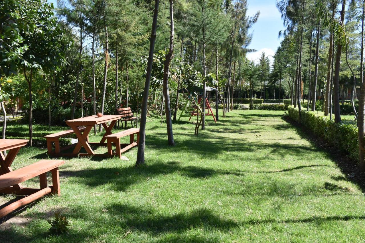 Anka Resort Naro Moru المظهر الخارجي الصورة
