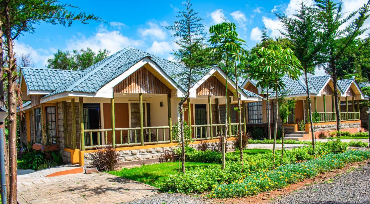 Anka Resort Naro Moru المظهر الخارجي الصورة